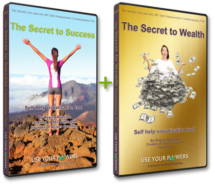 The Success and Recovery Bundle