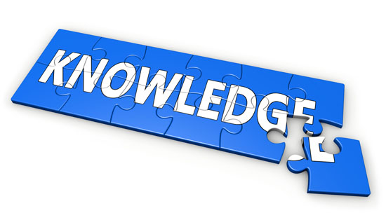 Knowledge Puzzle